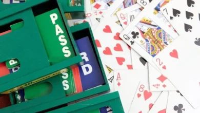 Bridge Champ