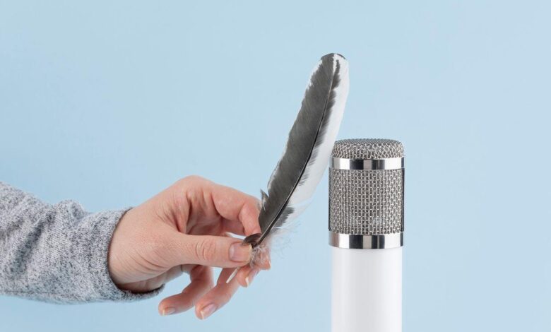 Portable Microphones